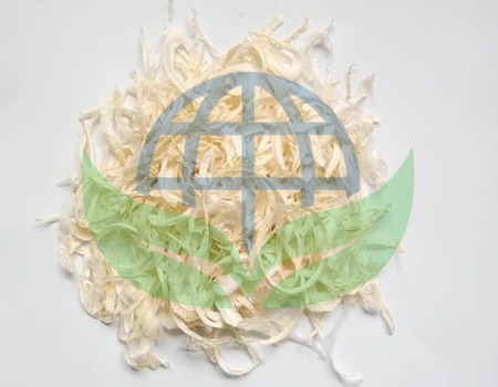 onion-white
